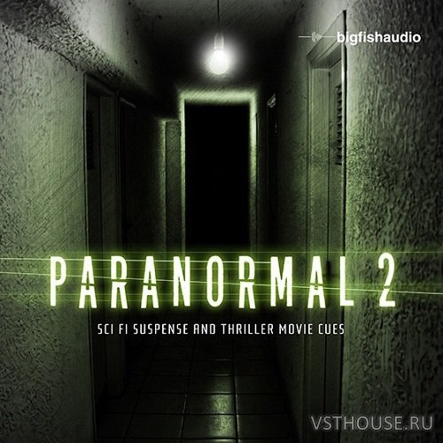 Big Fish Audio - Paranormal 2 (AIFF, REX2, WAV)