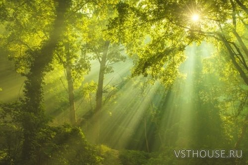 Soundholder - Summer Ambients + Update 1 (WAV) Soundholder - Summer Ambients + Update 1 (WAV)