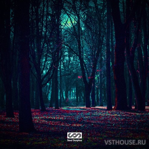 Soul Surplus - Dark Forest Sample Pack (WAV)