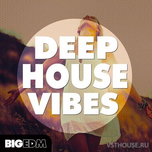Big EDM - Deep House Vibes