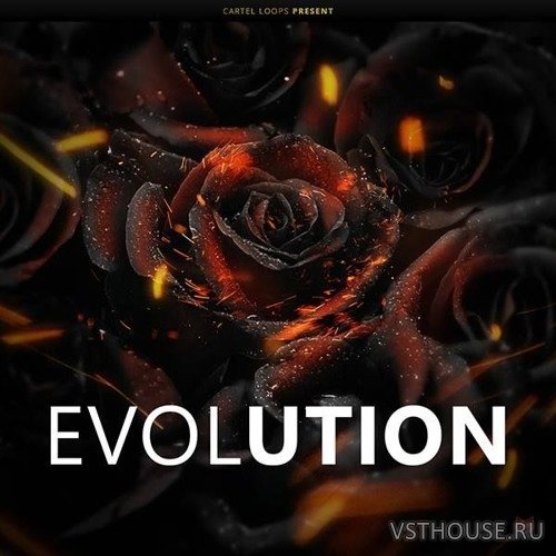 Cartel Loops - Black Roses Evolution (MIDI, WAV, FL STUDIO) Cartel Loops - Black Roses Evolution (MIDI, WAV, FL STUDIO)