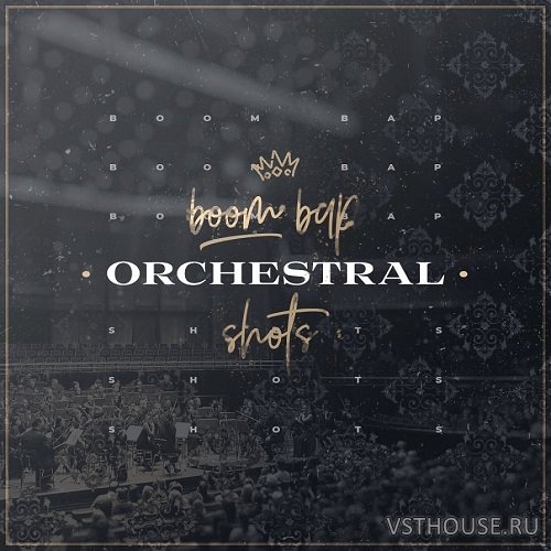 Diginoiz - Boom Bap Orchestral Shots (WAV)
