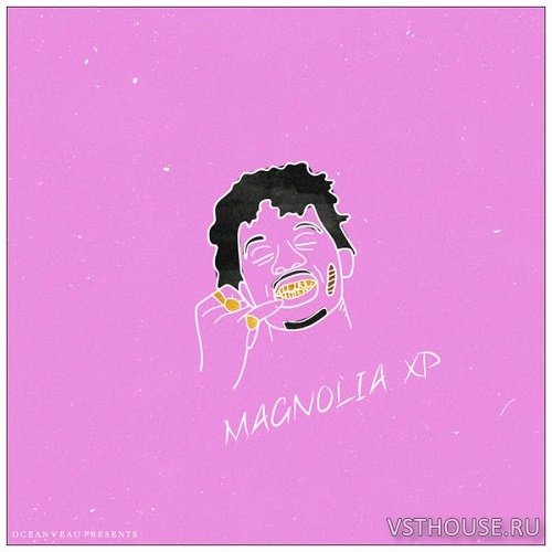 Ave Mcree - Magnolia XP for Tone2 Electra X2 (SYNTH PRESET) Ave Mcree - Magnolia XP for Tone2 Electra X2 (SYNTH PRESET)