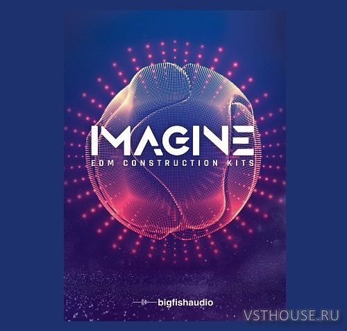Big Fish Audio - IMAGINE EDM Construction Kits (KONTAKT)