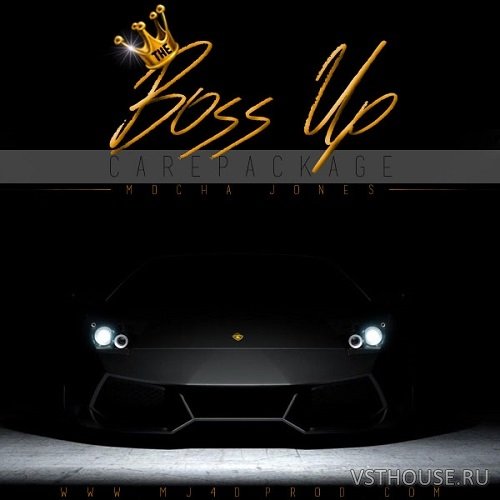 The Drum Bank - The Boss Up Care Package (MASSIVE, MIDI, WAV) The Drum Bank - The Boss Up Care Package (MASSIVE, MIDI, WAV)