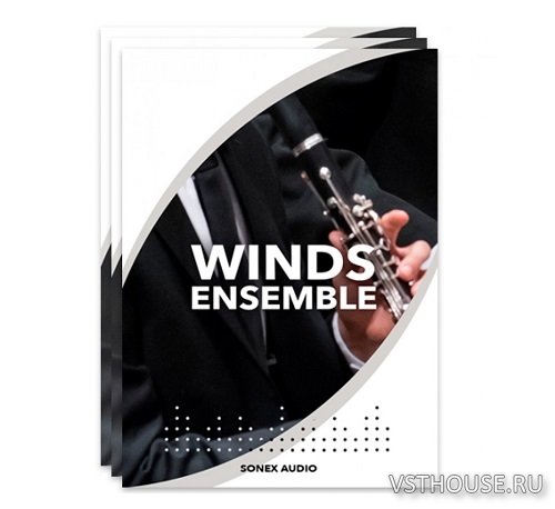Sonex Audio - Woodwinds Ensemble (KONTAKT) Sonex Audio - Woodwinds Ensemble (KONTAKT)