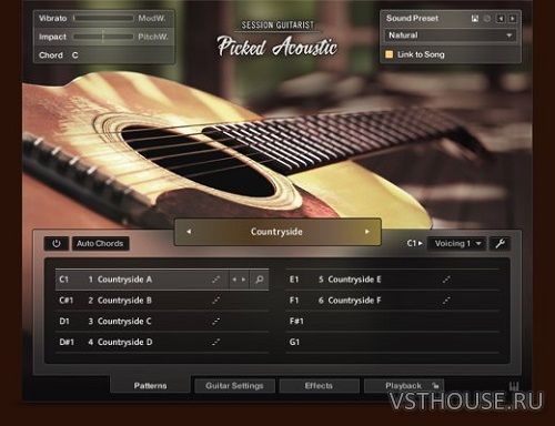 Native Instruments - SESSION GUITARIST – PICKED ACOUSTIC (KONTAKT)