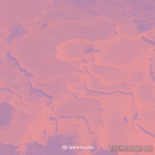 Splice Sounds - Yu Su Sample Pack (WAV)