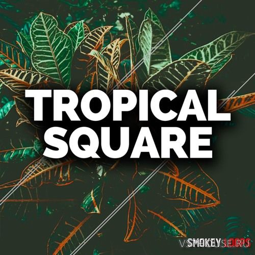 Smokey Loops - Tropical Square (MIDI, WAV) Smokey Loops - Tropical Square (MIDI, WAV)
