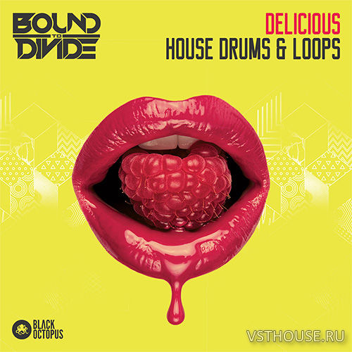 Black Octopus Sound - Delicious House Drums & Loops (WAV) Black Octopus Sound - Delicious House Drums & Loops (WAV)