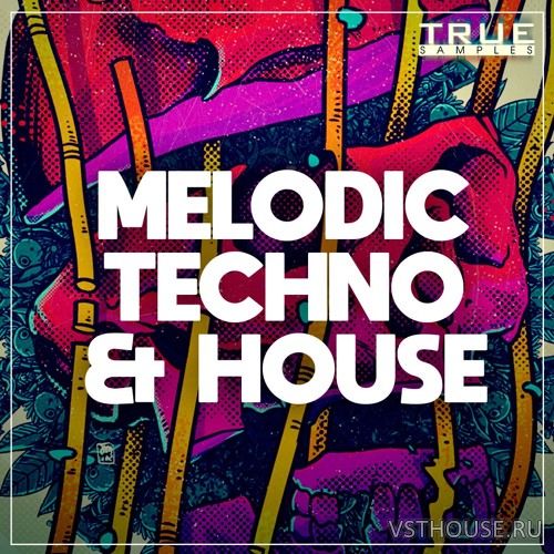 True Samples - Melodic Techno & House (MIDI, WAV, SPiRE) True Samples - Melodic Techno & House (MIDI, WAV, SPiRE)