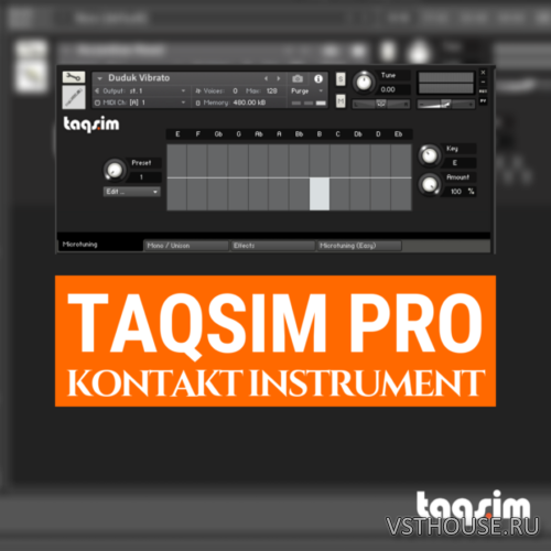 TAQS.IM - TAQS.IM Kontakt Pro Library (KONTAKT)