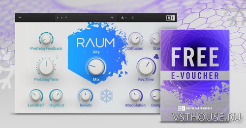 Native Instruments - Raum 1.0.0 VST, AAX x64
