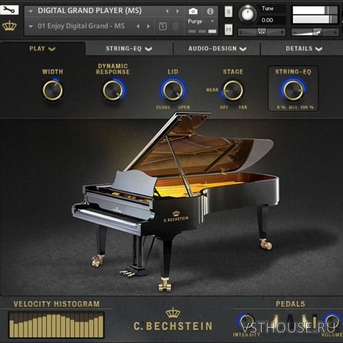 Bechstein Digital - C. Bechstein Digital Grand 1.2.0 (Cut End Repack) Bechstein Digital - C. Bechstein Digital Grand 1.2.0 (Cut End Repack)