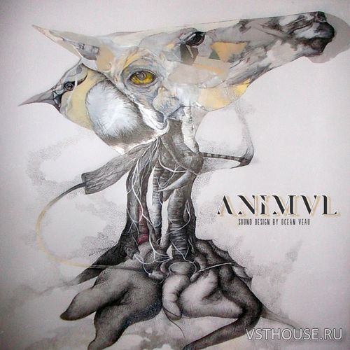 Ocean Veau – Animvl (ElectraX Bank) (SYNTH PRESET)