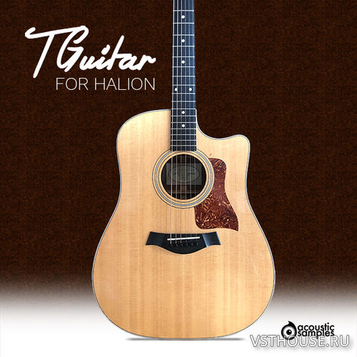 Acoustic Samples - TGuitar (HALion)