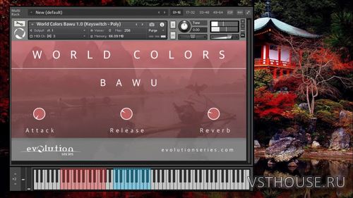 Evolution Series - World Colors Bawu (KONTAKT) Evolution Series - World Colors Bawu (KONTAKT)