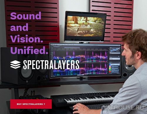 Steinberg - SpectraLayers Pro 7.0.10 STANDALONE, VST3, AAX, ARA