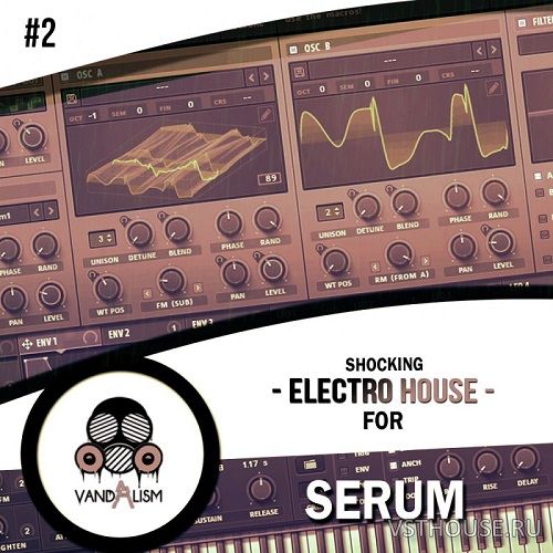 Vandalism - Shocking Electro House For Serum 2 (SYNTH PRESET, MIDI) Vandalism - Shocking Electro House For Serum 2 (SYNTH PRESET, MIDI)