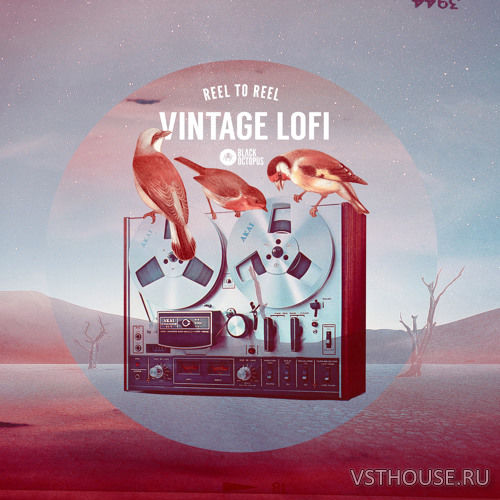 Black Octopus Sound - Reel to Reel - Vintage Lofi (MIDI, WAV)