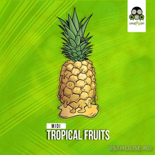 Vandalism - MIDI Tropical Fruits (MIDI) Vandalism - MIDI Tropical Fruits (MIDI)