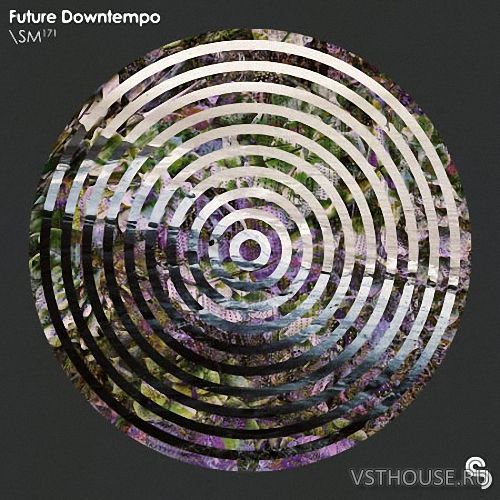Sample Magic - Future Downtempo (WAV) Sample Magic - Future Downtempo (WAV)