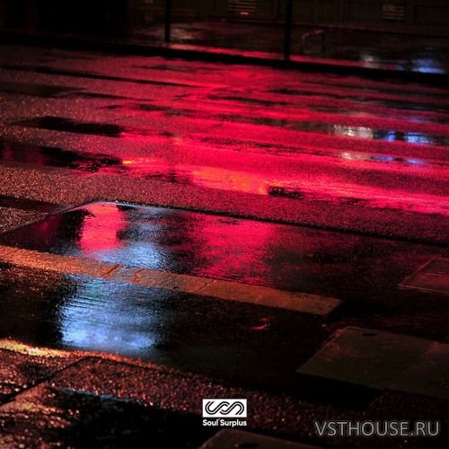 Soul Surplus - Nightlife (WAV) Soul Surplus - Nightlife (WAV)