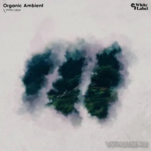 Sample Magic - Organic Ambient (WAV) Sample Magic - Organic Ambient (WAV)