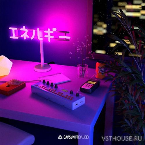 Capsun ProAudio - Bedroom Beats & Lofi Hip-Hop Vol. 2 (WAV) Capsun ProAudio - Bedroom Beats & Lofi Hip-Hop Vol. 2 (WAV)