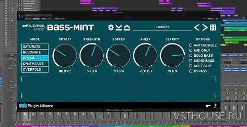 Plugin Alliance & Unfiltered Audio - Bass Mint Plugin Alliance & Unfiltered Audio - Bass Mint
