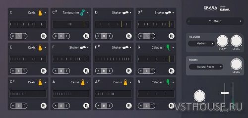 Klevgrand - Skaka 1.0.0 VSTi, VSTi3, AAX, AUi WIN.OSX x64