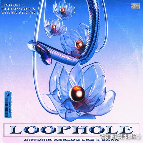 Up North Music Group - LOOPHOLE ARTURIA ANALOG LABS 4 Up North Music Group - LOOPHOLE ARTURIA ANALOG LABS 4