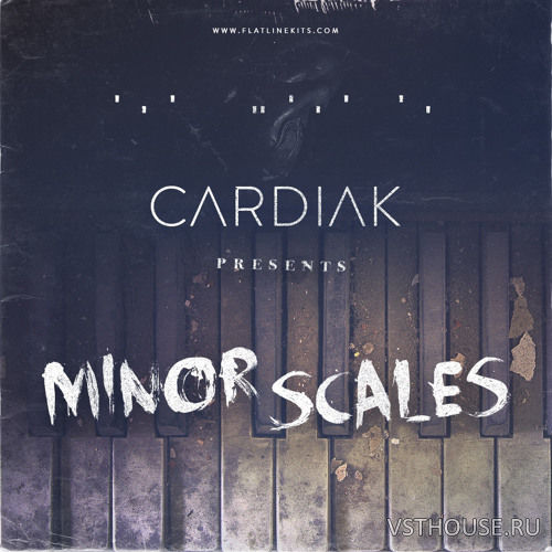 Flatline Kits - Cardiak Presents Minor Scales Vol. 1 (WAV) Flatline Kits - Cardiak Presents Minor Scales Vol. 1 (WAV)