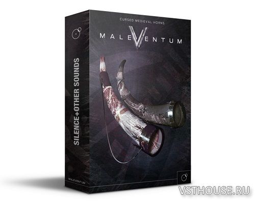 Silence+Other Sounds - Maleventum (KONTAKT)