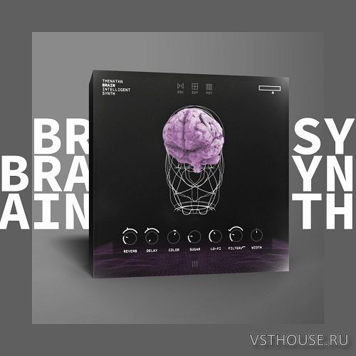 Thenatan - BRAIN - Intelligent SYNTH 1.0.0 Thenatan - BRAIN - Intelligent SYNTH 1.0.0