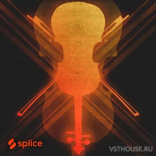Splice Originals - Disco Strings (WAV, KONTAKT, ABLETON, LOGIC)
