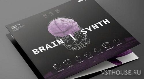 Thenatan - BRAIN - Intelligent SYNTH 1.1.0 Thenatan - BRAIN - Intelligent SYNTH 1.1.0