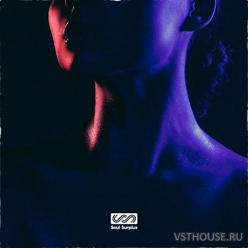 Soul Surplus - Soul Seeking - Warm Soul (WAV)