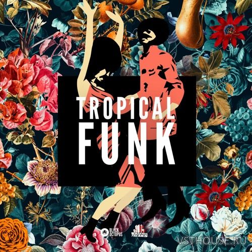 Black Octopus Sound - Tropical Funk by Basement Freaks (WAV)