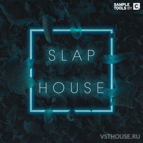 Sample Tools by Cr2 - Slap House (MIDI, WAV)