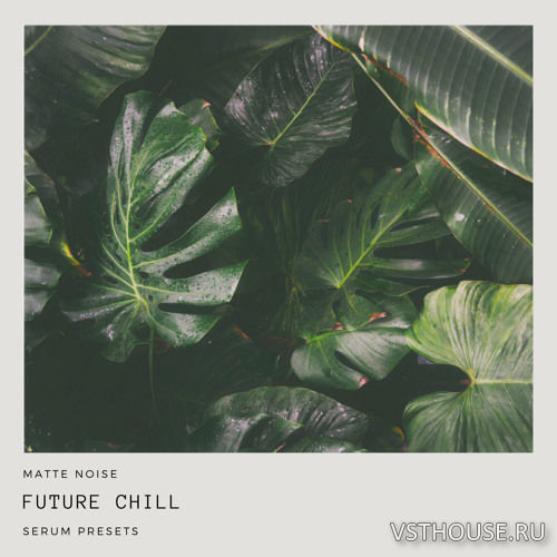 GOGOi - Future Chill (SERUM)