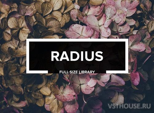 Audiotent - Radius (WAV)