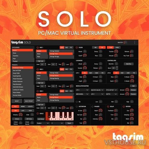 TAQS.IM - SOLO 1.1.4 STANDALONE, VSTi3, AAX x64