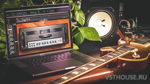 Nembrini Audio - VOICE DC30 CUSTOM VALVE GUITAR AMPLIFIER 1.0.2
