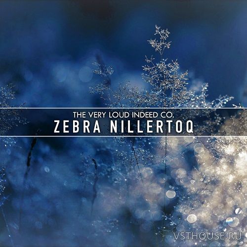 The Very Loud Indeed Co. - ZEBRA NILLERTOQ (SYNTH PRESET, NKS) The Very Loud Indeed Co. - ZEBRA NILLERTOQ (SYNTH PRESET, NKS)
