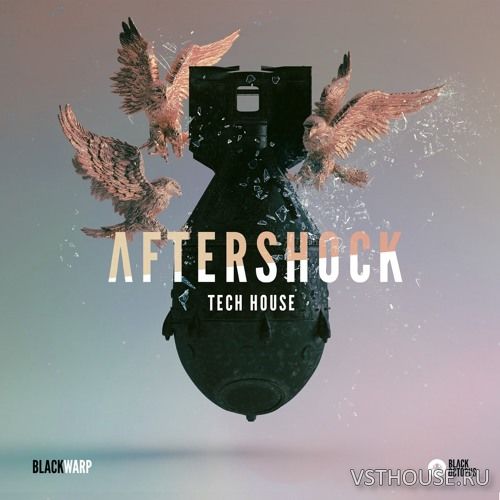 Black Octopus Sound - Aftershock Tech House by Blackwarp (WAV, SERUM) Black Octopus Sound - Aftershock Tech House by Blackwarp (WAV, SERUM)