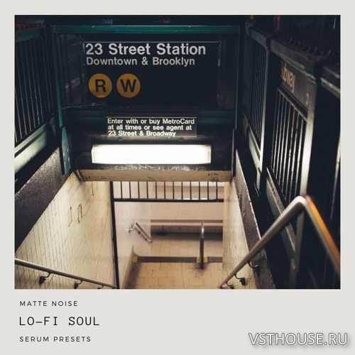GOGOi - Lo-Fi Soul (SERUM)