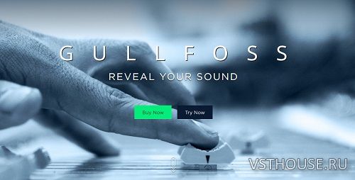Soundtheory - Gullfoss 1.10.0 VST, VST3, AAX x64 Soundtheory - Gullfoss 1.10.0 VST, VST3, AAX x64