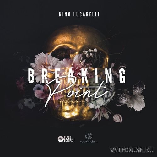 VocalKitchen - Nino Lucarelli - Breaking Point (WAV) VocalKitchen - Nino Lucarelli - Breaking Point (WAV)
