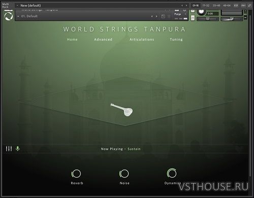 Evolution Series - World Strings Tanpura 1.0.0 (KONTAKT)